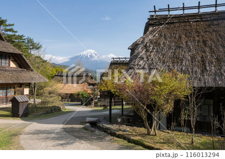 Saiko no Sato Thatch house with mt. Fuji in spring, Yamanashi, Japan Saiko no Sato Thatch house with mt. Fuji in spring, Yamanashi, Japan 116013294