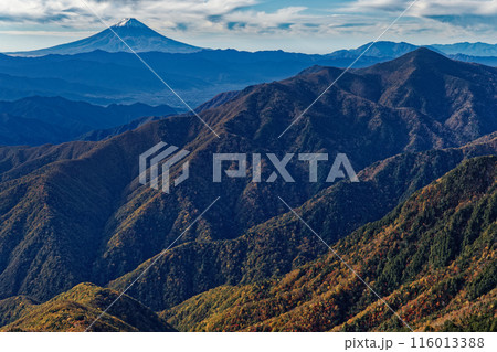 甲武信岳・戸渡尾根から見る朝の富士山と黒金山 116013388