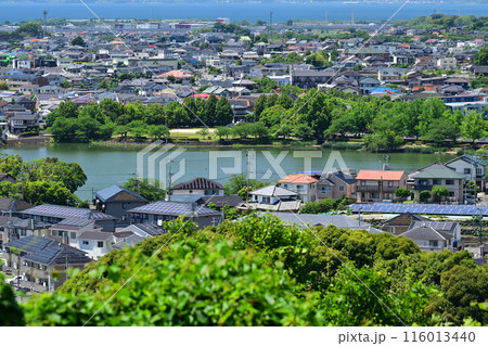 池田湖　池田湖公園（長崎県大村市） 116013440
