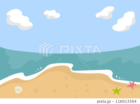 貝殻とヒトデのある砂浜と海と空の風景 116013564