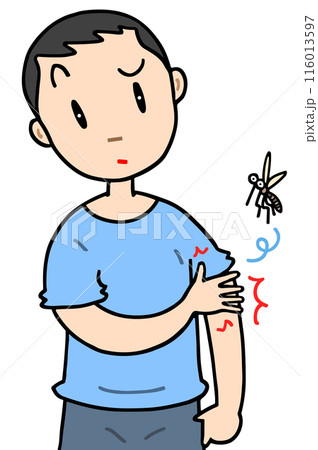 病気・疾病 - 虫刺され・刺虫症・痒み・湿疹・皮膚疾患 116013597
