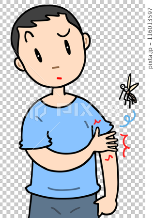 病気・疾病 - 虫刺され・刺虫症・痒み・湿疹・皮膚疾患 116013597