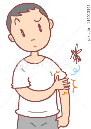 病気・疾病 - 虫刺され・刺虫症・痒み・湿疹・皮膚疾患 病気・疾病 - 虫刺され・刺虫症・痒み・湿疹・皮膚疾患 116013598