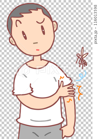病気・疾病 - 虫刺され・刺虫症・痒み・湿疹・皮膚疾患 病気・疾病 - 虫刺され・刺虫症・痒み・湿疹・皮膚疾患 116013598