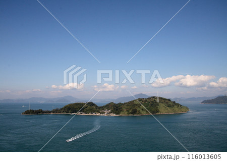 来島海峡の小島と青い空 116013605