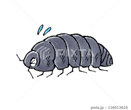 困るダンゴムシ 116013628