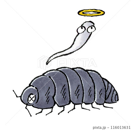 死んだダンゴムシ 116013631