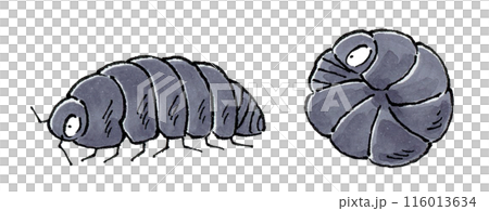 Pill Bug Set 116013634
