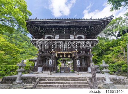 新緑の京都　善峯寺　山門（仁王門） 116013694