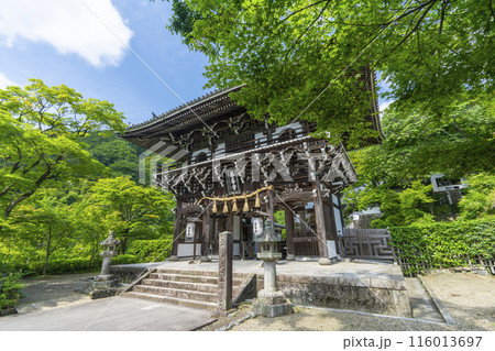 新緑の京都　善峯寺　山門（仁王門） 116013697