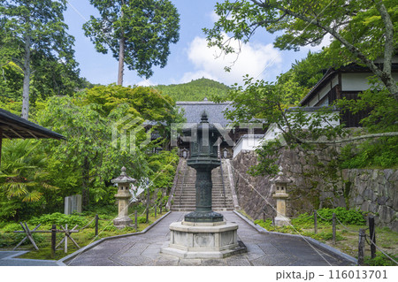 新緑の京都　善峯寺　観音堂へ向かう石段 116013701