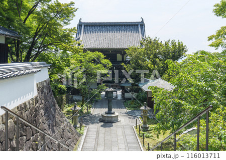 新緑の京都　善峯寺　山門（仁王門） 116013711