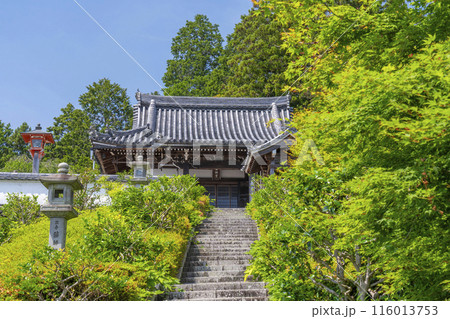 新緑の京都 善峯寺 薬師堂 新緑の京都 善峯寺 薬師堂 116013753