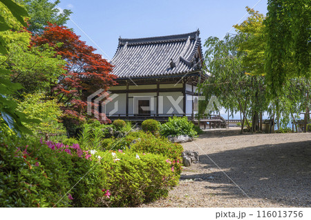 新緑の京都　善峯寺　薬師堂　蓮華寿院旧跡庭園 116013756