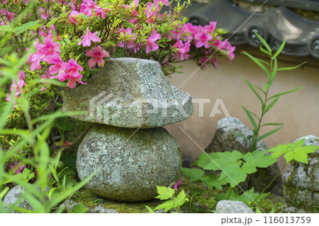 善峯寺 薬師堂境内の石仏 善峯寺 薬師堂境内の石仏 116013759
