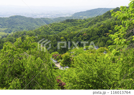 京都　善峯寺　高いところから堂宇全体を見下ろす 116013764