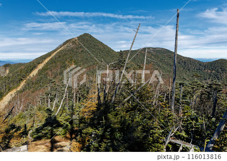 木賊山方面から見る奥秩父・甲武信岳と三宝山 木賊山方面から見る奥秩父・甲武信岳と三宝山 116013816