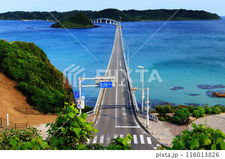 角島大橋1002 116013826