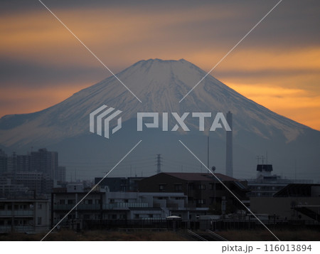 川口市の荒川堤から見えた夕焼雲と富士山のシルエット 116013894