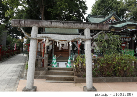 川越八幡宮 116013897