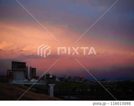 川口市の荒川堤から見えた東の空の夕焼け 116013898