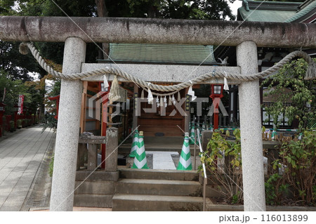 川越八幡宮 116013899