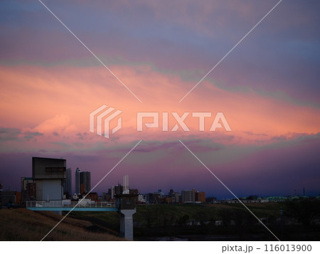 川口市の荒川堤から見えた東の空の夕焼け 116013900