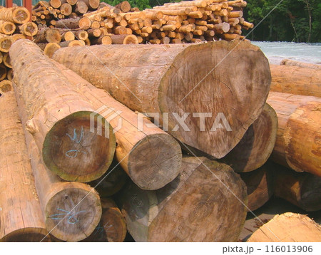 山の中の貯木場21 山の中の貯木場21 116013906
