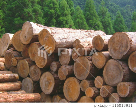 山の中の貯木場26 116013911