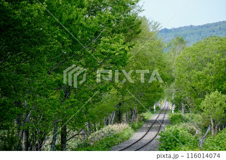 【北海道】美深の線路 【北海道】美深の線路 116014074