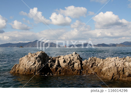 今治大角鼻の海の風景 116014296