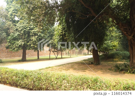 インド デリー フマーユーン廟の風景 116014374