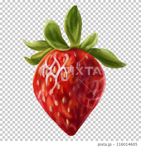 Juicy red strawberries with a twig. Ripe berry for healthy snacks, culinary dishes, milkshakes, cocktails, ice cream, jam. A natural dessert from a farmer's harvest. Isolated digital illustration Juicy red strawberries with a twig. Ripe berry for healthy snacks, culinary dishes, milkshakes, cocktails, ice cream, jam. A natural dessert from a farmer's harvest. Isolated digital illustration 116014605