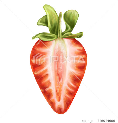 A juicy red half of a strawberry with a twig. Ripe berry for snacks, culinary dishes, milkshakes, cocktails, ice cream, jam. A natural dessert from a farmer's harvest. Isolated digital illustration 116014606