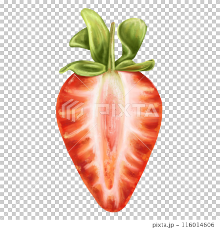 A juicy red half of a strawberry with a twig. Ripe berry for snacks, culinary dishes, milkshakes, cocktails, ice cream, jam. A natural dessert from a farmer's harvest. Isolated digital illustration A juicy red half of a strawberry with a twig. Ripe berry for snacks, culinary dishes, milkshakes, cocktails, ice cream, jam. A natural dessert from a farmer's harvest. Isolated digital illustration 116014606