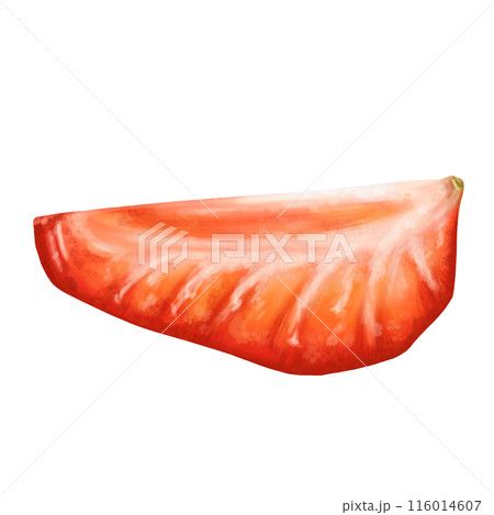 A juicy red half of a strawberry with a twig. Ripe berry for snacks, culinary dishes, milkshakes, cocktails, ice cream, jam. A natural dessert from a farmer's harvest. Isolated digital illustration A juicy red half of a strawberry with a twig. Ripe berry for snacks, culinary dishes, milkshakes, cocktails, ice cream, jam. A natural dessert from a farmer's harvest. Isolated digital illustration 116014607