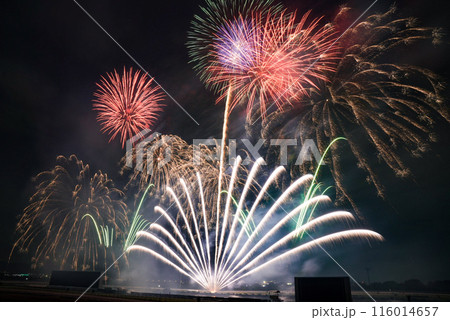 夜空に広がる花火 116014657
