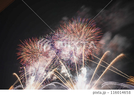 夜空に広がる花火 116014658