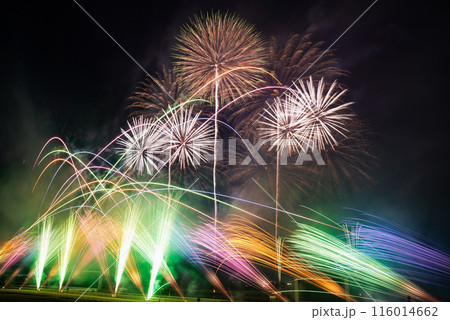夜空に広がる花火 116014662