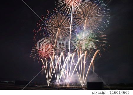 夜空に広がる花火 夜空に広がる花火 116014663