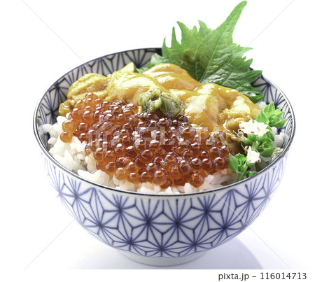 最強の海鮮丼 ウニいくら丼 （白背景） 116014713