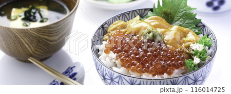 最強の海鮮丼 ウニいくら丼 (白背景) 最強の海鮮丼 ウニいくら丼 (白背景) 116014725
