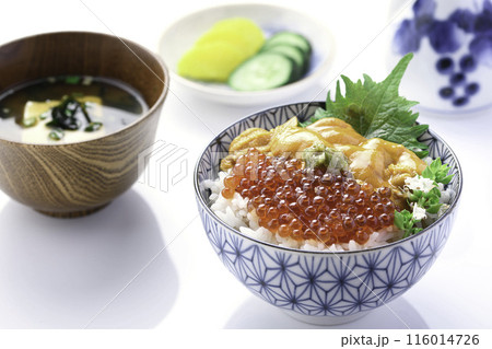 最強の海鮮丼 ウニいくら丼 （白背景） 116014726