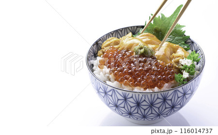 最強の海鮮丼 ウニいくら丼 （白背景） 116014737