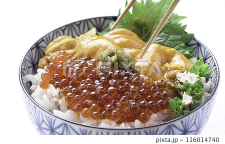 最強の海鮮丼 ウニいくら丼 （白背景） 116014740