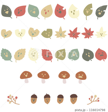いろんな表情をした様々な形の葉っぱとキノコとドングリのイラストセット いろんな表情をした様々な形の葉っぱとキノコとドングリのイラストセット 116014798