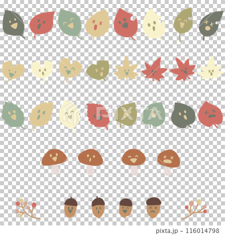 いろんな表情をした様々な形の葉っぱとキノコとドングリのイラストセット いろんな表情をした様々な形の葉っぱとキノコとドングリのイラストセット 116014798