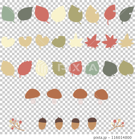 受秋天啟發的各種形狀的葉子、蘑菇和橡子的插圖集 116014800