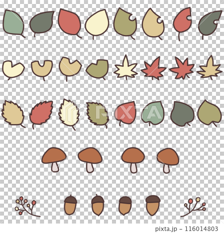 受秋天啟發的各種形狀的葉子、蘑菇和橡子的插圖集 116014803