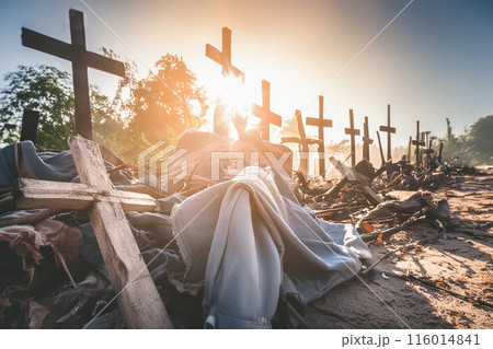 荒廃した森にある十字架、再生のイメージ 116014841